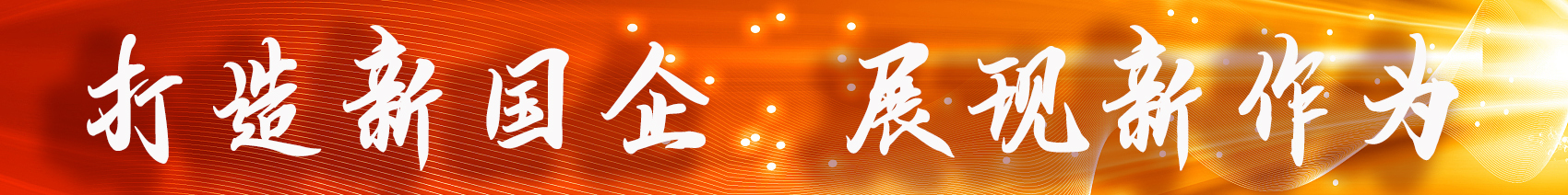 打造新国企  展现新作为